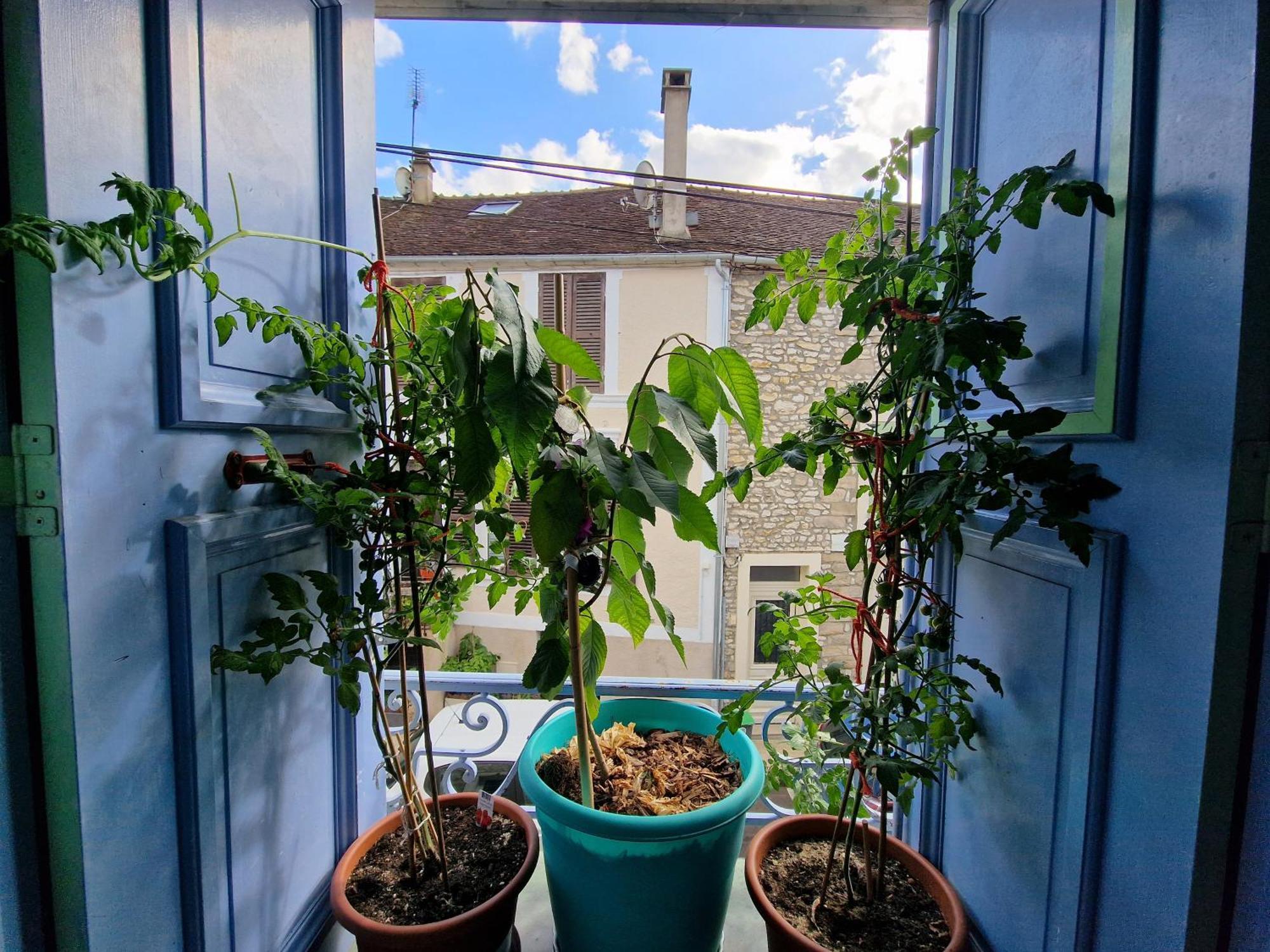 Chez Mamichou Apartment Moret-sur-Loing Exterior photo